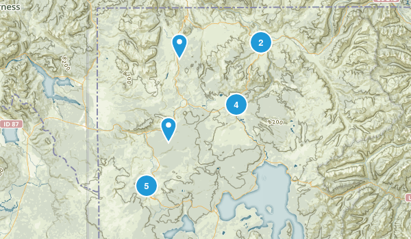 Yellowstone Map