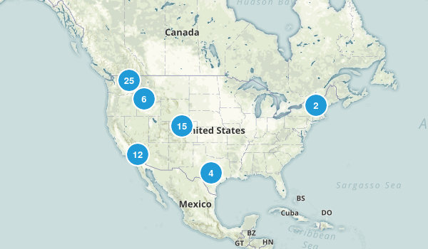 Completed Map