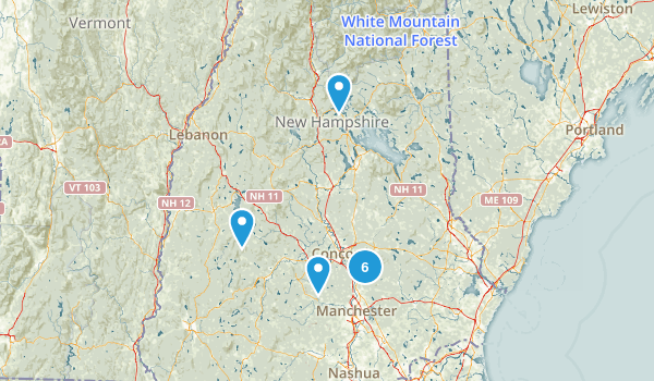Local Map