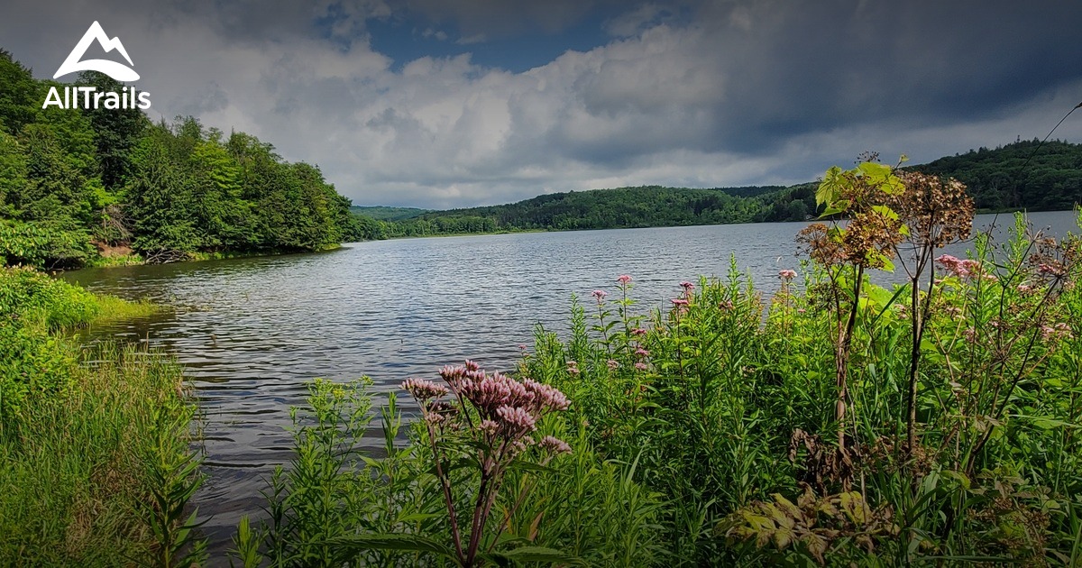 Myosotis Lake Trail | List | AllTrails