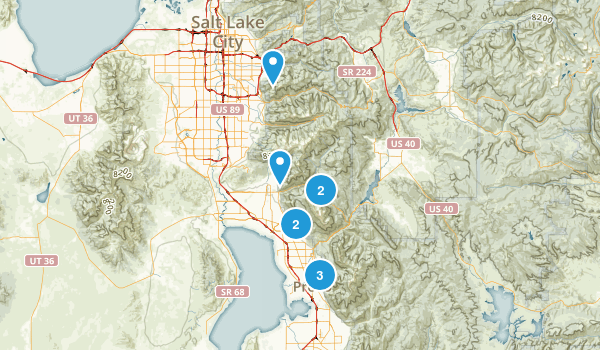 dog Map