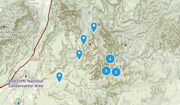 Zion Map