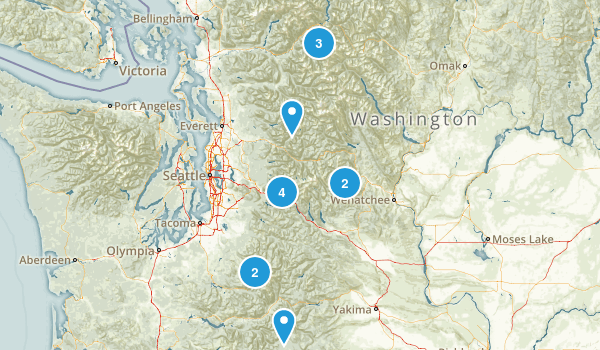 Washington State Map