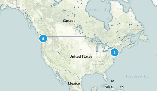 Completed Map