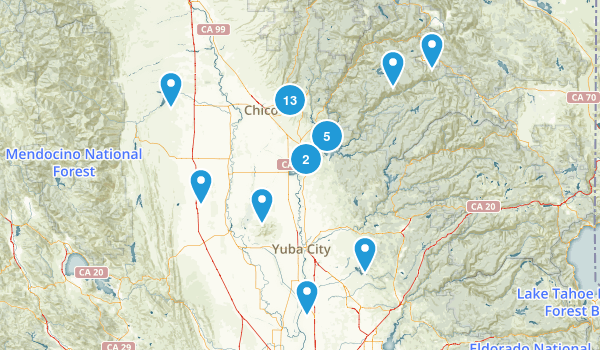 Local Map