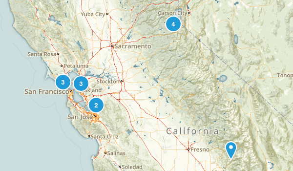dog friendly Map
