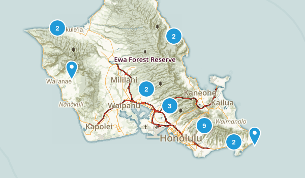 Want to Do- Adult Map