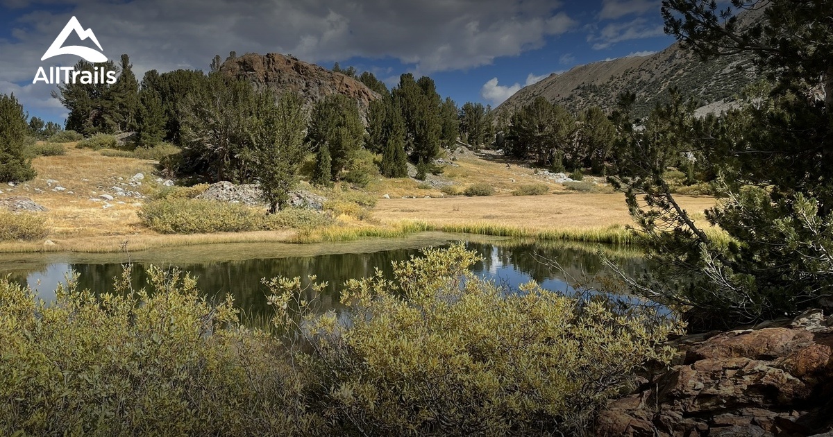 How To Choose Hiking Trousers Womens For Multi Day Treks