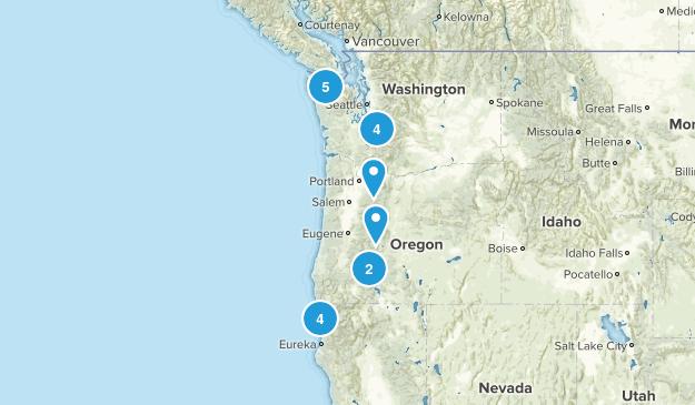 cross country 2019 Map