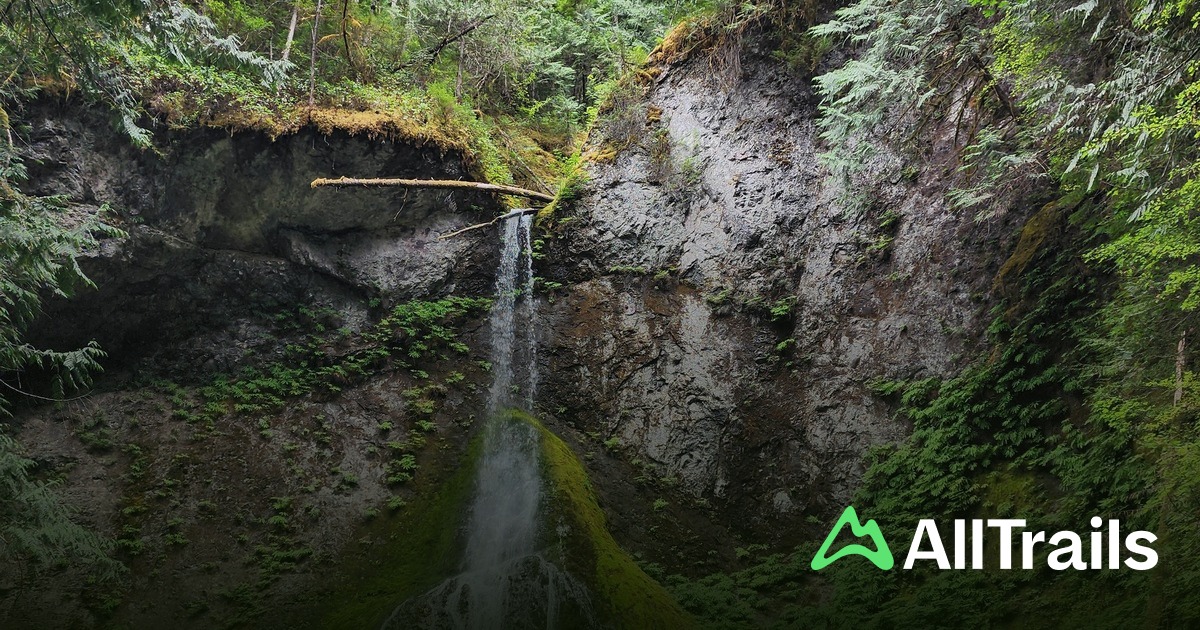 Lake Crescent Hikes List AllTrails