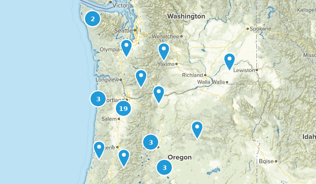 Ninny. Map