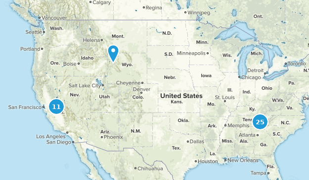 want to go Map