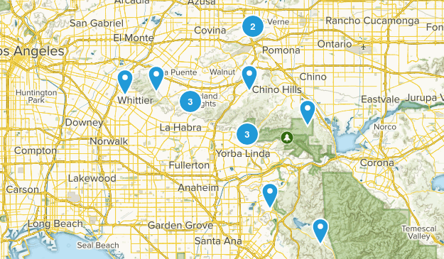 Trip Map