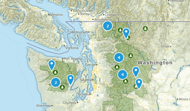 Summer Goals Map