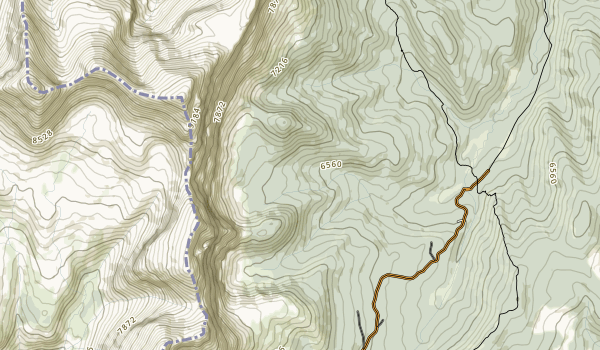 Bucket List Map