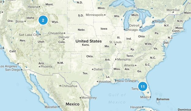possible to do Map