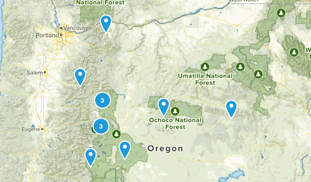 training Map