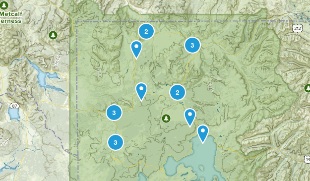 Yellowstone NP Map