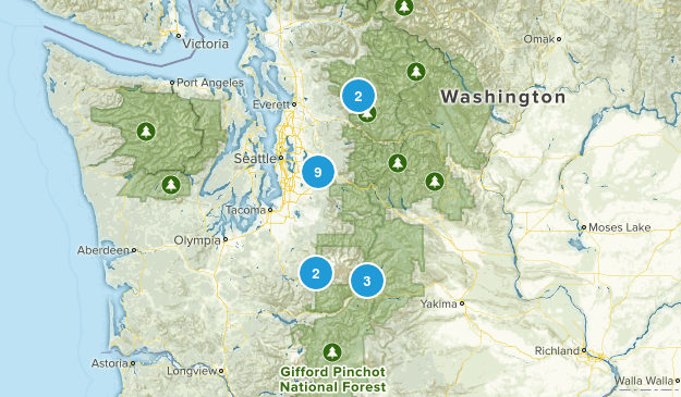 Ryan Cole Map
