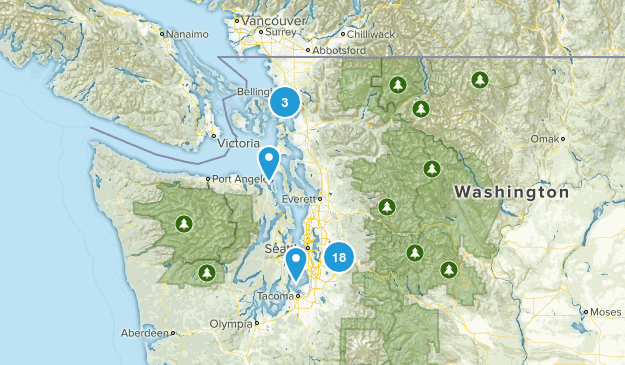 Trail Running Map