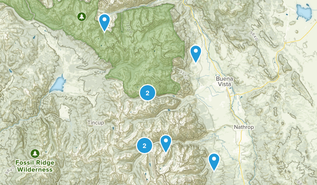 Buena Vista 2018 Map