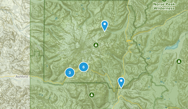 Mt Rainier Map