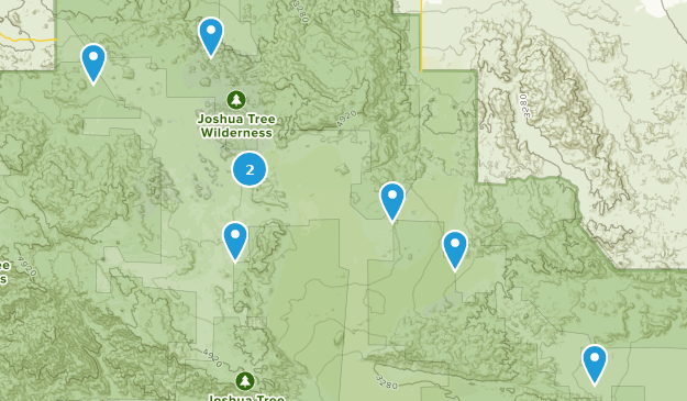 Joshua Tree Map