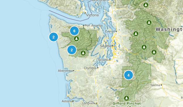 Washington State Map