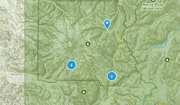 rainer Map