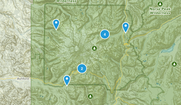 mt rainier Map