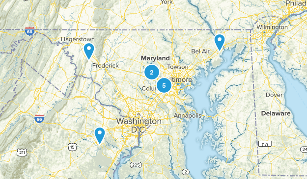 Later Map