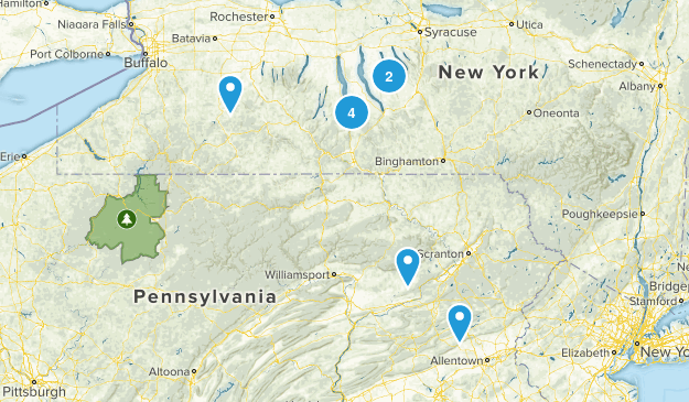 New York Favorites Map