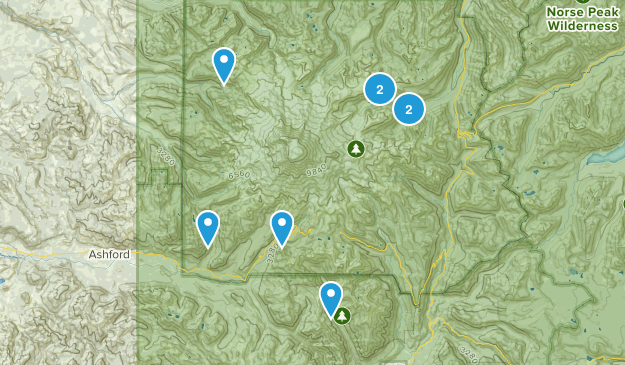 rainer Map