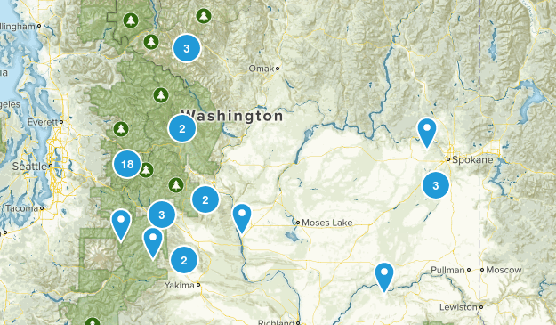 dogs- water Map