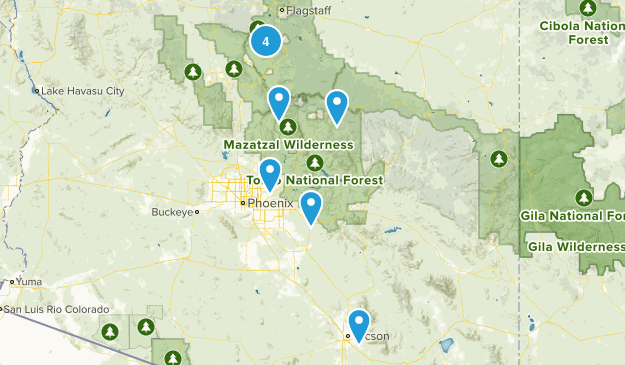 Bucket List Map