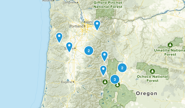 Ideas Map