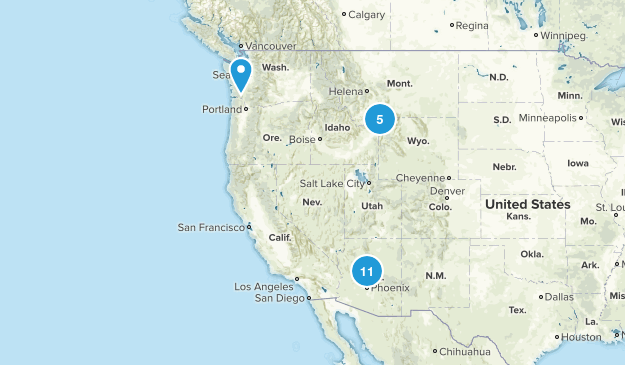 todo Map