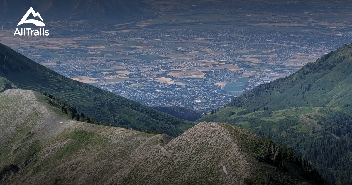 Mount Louisa Walking Track Map Literacy Basics