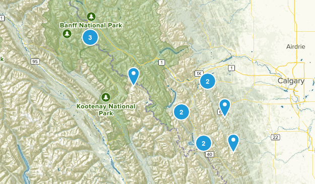 tricia Map