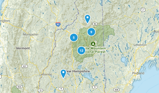 the 48 Map