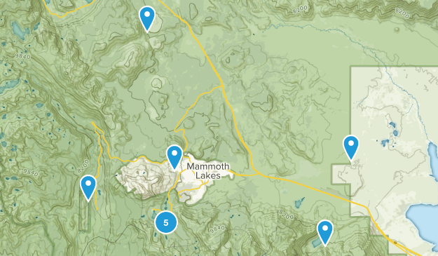 Mammoth Map