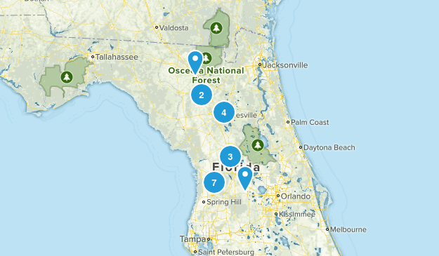 discover florida Map