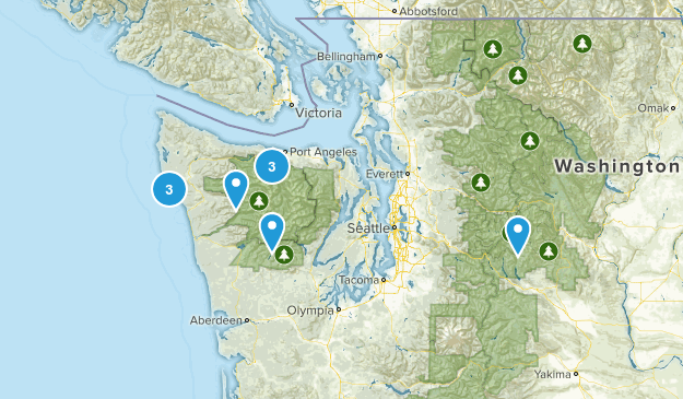 washington Map