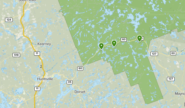 Algonquin 2019 Map