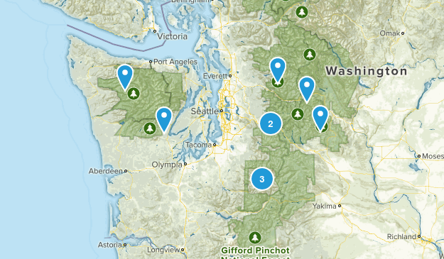 Summer 2019 Map