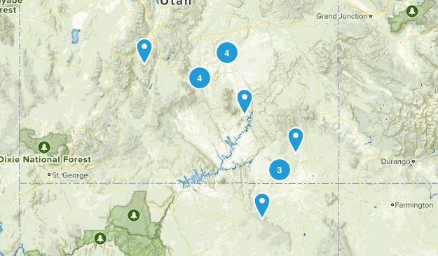 Thanksgiving 2019 Map