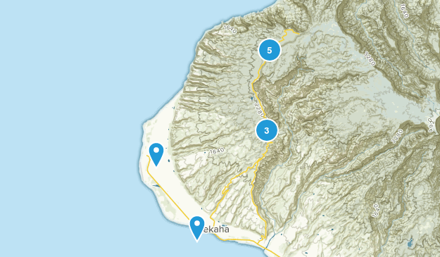 Waimea Map