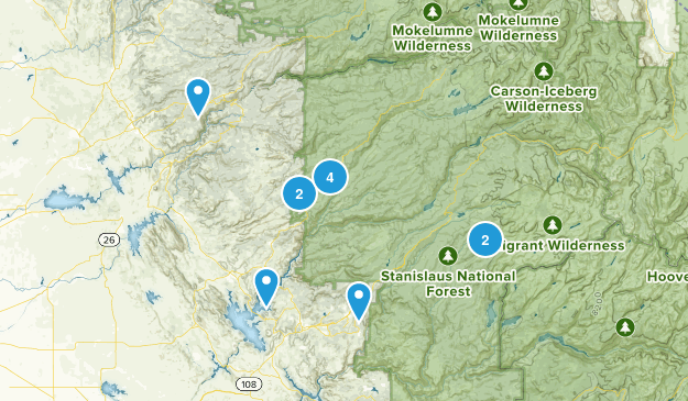 Arnold Map