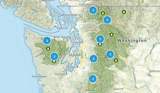 washington Map