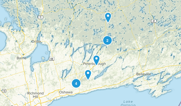 Local Map